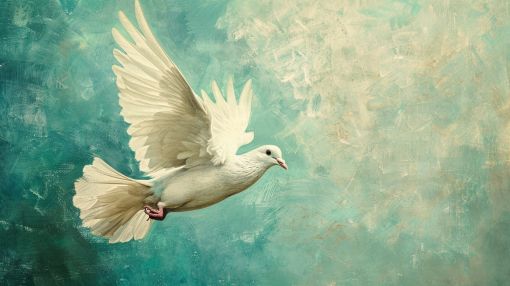 White Dove in Graceful Flight