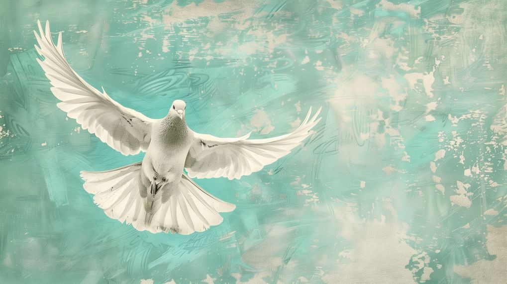 White Dove Soaring in Turquoise Sky