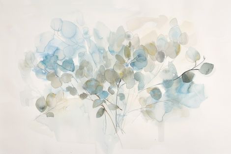 Soft Eucalyptus in Morning Light