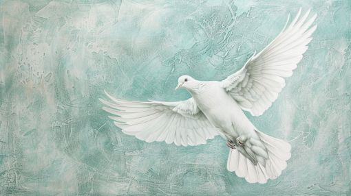 White Dove Soaring in Serene Light