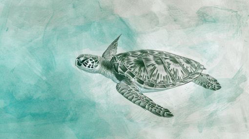 Graceful Sea Turtle in Teal Waters