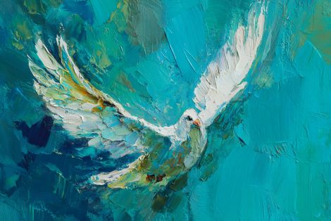 White Dove Soaring in Turquoise Sky