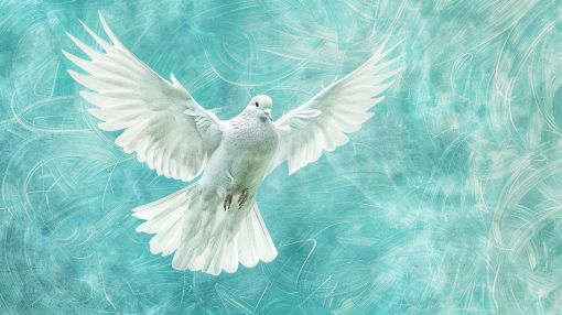 White Dove Soaring in Turquoise Sky