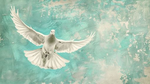 White Dove in Turquoise Flight