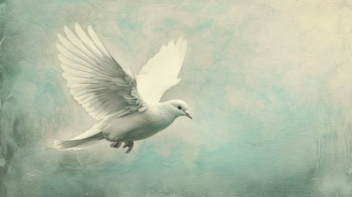 White Dove in Gentle Flight