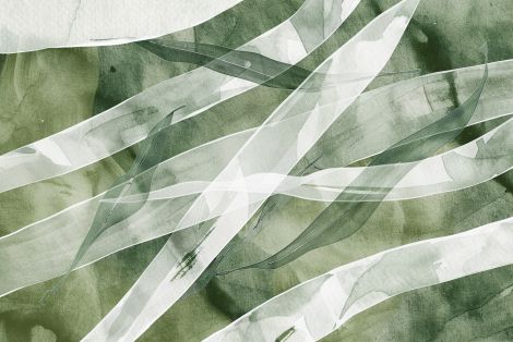 Flowing Sage Botanical Watercolor Ribbons