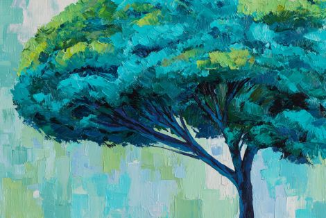 Turquoise Canopy in Afternoon Light