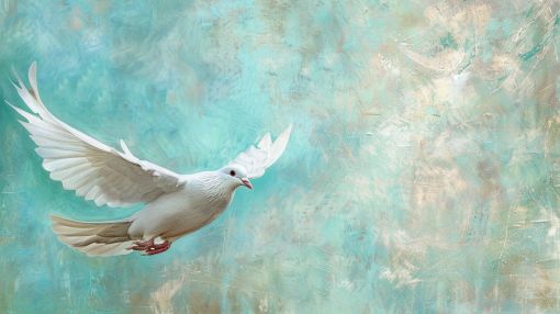 White Dove in Graceful Flight