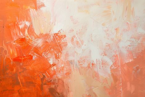 Coral Blaze in Morning Light