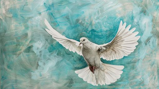 White Dove in Turquoise Sky
