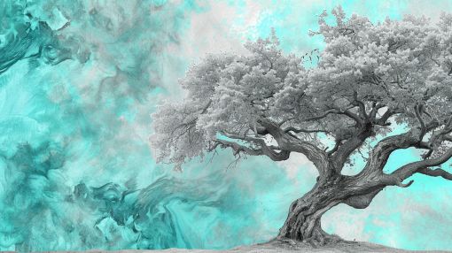 Ancient Tree in Turquoise Mist
